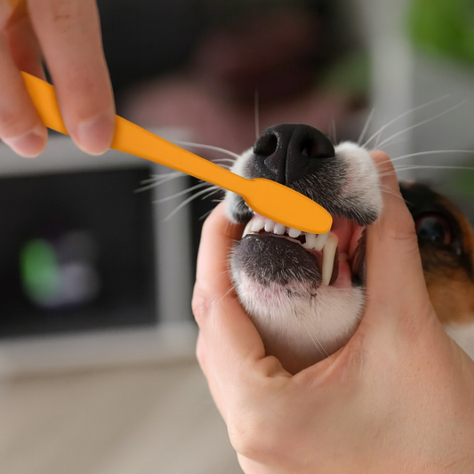 Dog Dental Care Kit – Toothbrush & Natural Banana-Flavored Toothpaste, Reduces Plaque & Tartar