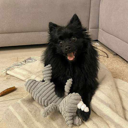 Plush Squeaky Dog Toy – Animal Shape Bite-Resistant Corduroy Chew & Fetch Toy for Dogs & Puppies