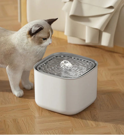 3L Automatic Cat Water Fountain – Fresh, Clean Hydration Made Simple
