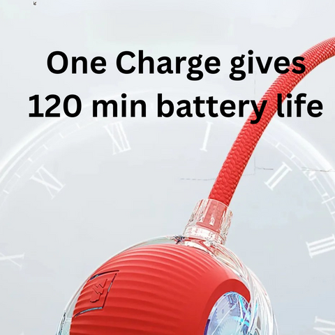 Smart Rolling Cat Toy – Interactive Fun for Curious Pets