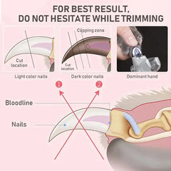 LED Pet Nail Clipper Scissors – Professional Cat & Dog Nail Trimmer with Safety Light