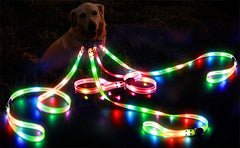 USB Rechargeable LED Dog Leash or Dog Collar