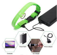 USB Rechargeable LED Pet Collar – Glowing Night Safety Collar with  Pendant for Dogs