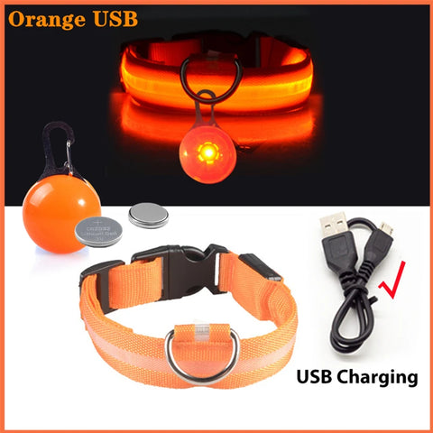 USB Rechargeable LED Pet Collar – Glowing Night Safety Collar with  Pendant for Dogs