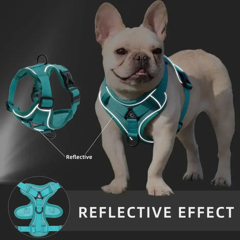 No-Pull Dog Harness & Leash Set – Adjustable Reflective Mesh Vest for Small & Medium Dogs and Cats