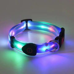 USB Rechargeable LED Dog Leash or Dog Collar