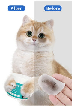 Gentle Pet Eye Wipes – Tear Stain Remover for Cats & Dogs (100pcs)