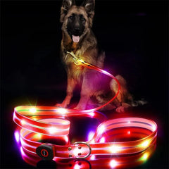 USB Rechargeable LED Dog Leash or Dog Collar