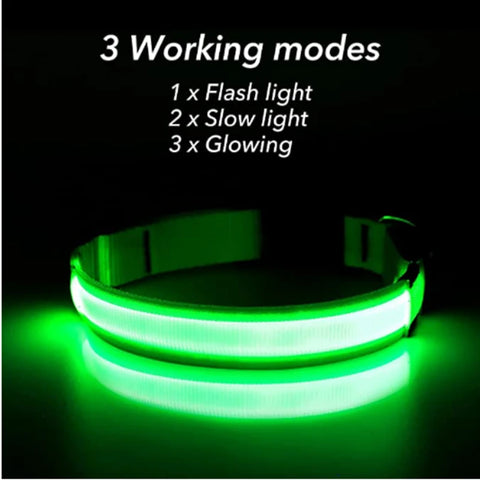 USB Rechargeable LED Pet Collar – Glowing Night Safety Collar with  Pendant for Dogs