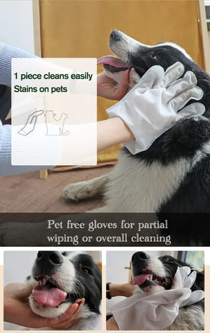 6PCS No-Rinse Disposable Pet Cleaning Glove Towels – Deodorizing Wet Wipes for Cats & Dogs