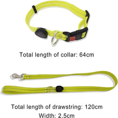 USB Rechargeable LED Dog Leash or Dog Collar