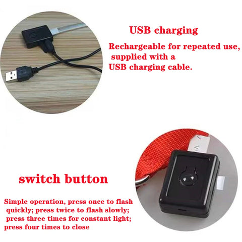 USB Rechargeable LED Pet Collar – Glowing Night Safety Collar with  Pendant for Dogs