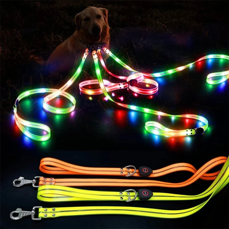 USB Rechargeable LED Dog Leash or Dog Collar