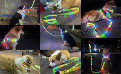 USB Rechargeable LED Dog Leash or Dog Collar