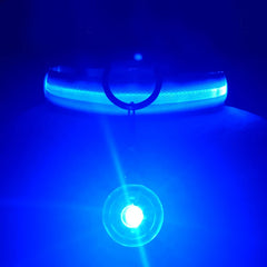 USB Rechargeable LED Pet Collar – Glowing Night Safety Collar with  Pendant for Dogs