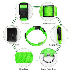 USB Rechargeable LED Pet Collar – Glowing Night Safety Collar with  Pendant for Dogs