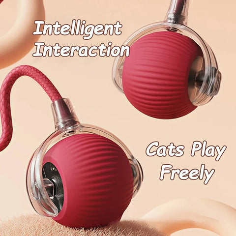 Smart Rolling Cat Toy – Interactive Fun for Curious Pets
