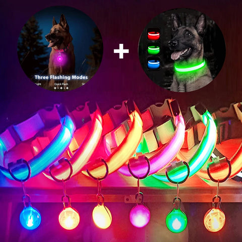 USB Rechargeable LED Pet Collar – Glowing Night Safety Collar with  Pendant for Dogs