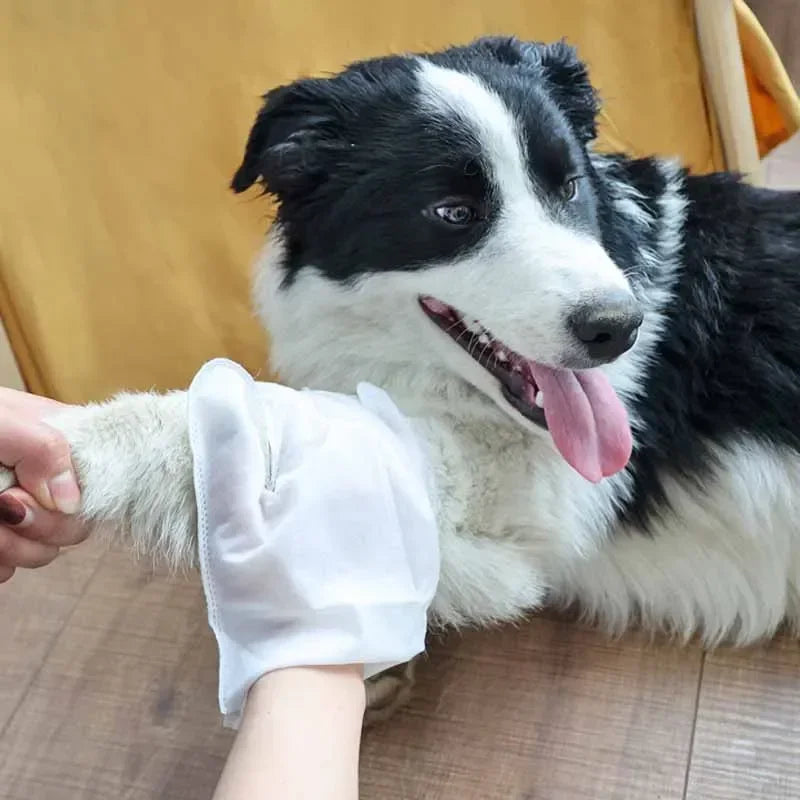6PCS No-Rinse Disposable Pet Cleaning Glove Towels – Deodorizing Wet Wipes for Cats & Dogs