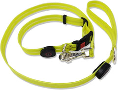 USB Rechargeable LED Dog Leash or Dog Collar