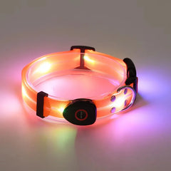 USB Rechargeable LED Dog Leash or Dog Collar