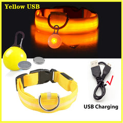 USB Rechargeable LED Pet Collar – Glowing Night Safety Collar with  Pendant for Dogs