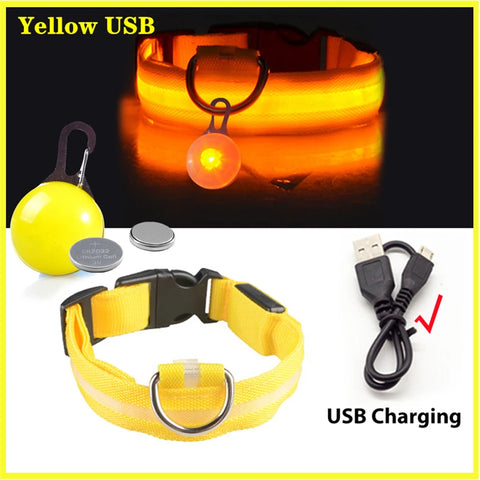 USB Rechargeable LED Pet Collar – Glowing Night Safety Collar with  Pendant for Dogs