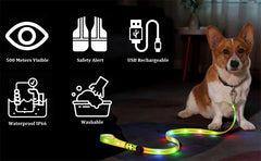 USB Rechargeable LED Dog Leash or Dog Collar