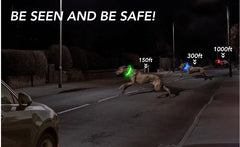 USB Rechargeable LED Pet Collar – Glowing Night Safety Collar with  Pendant for Dogs