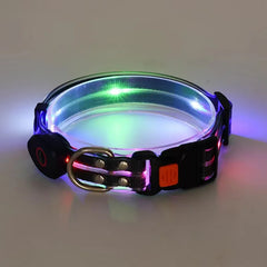 USB Rechargeable LED Dog Leash or Dog Collar