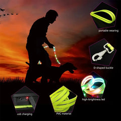 USB Rechargeable LED Dog Leash or Dog Collar