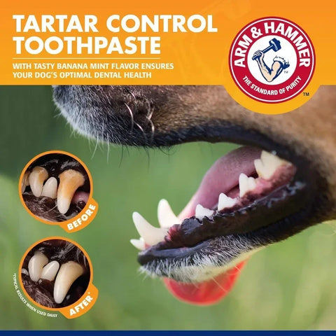 Dog Dental Care Kit – Toothbrush & Natural Banana-Flavored Toothpaste, Reduces Plaque & Tartar