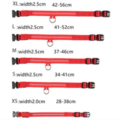 USB Rechargeable LED Pet Collar – Glowing Night Safety Collar with  Pendant for Dogs