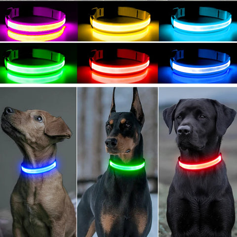 USB Rechargeable LED Pet Collar – Glowing Night Safety Collar with  Pendant for Dogs