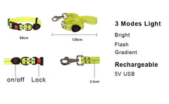 USB Rechargeable LED Dog Leash or Dog Collar