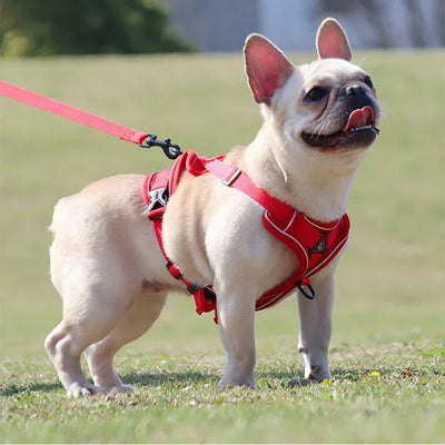 No-Pull Dog Harness & Leash Set – Adjustable Reflective Mesh Vest for Small & Medium Dogs and Cats