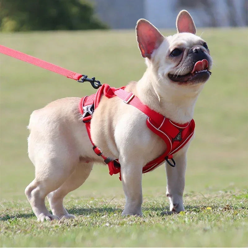 No-Pull Dog Harness & Leash Set – Adjustable Reflective Mesh Vest for Small & Medium Dogs and Cats