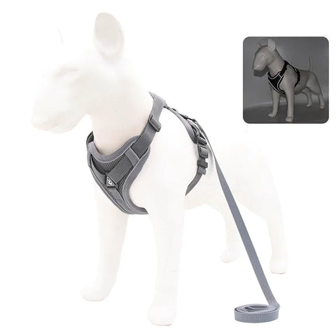 No-Pull Dog Harness & Leash Set – Adjustable Reflective Mesh Vest for Small & Medium Dogs and Cats