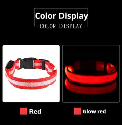 LED Nylon Dog Collar