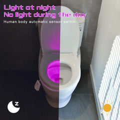 Motion Sensing Toilet Projection Night Light