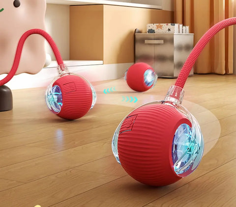 Smart Rolling Cat Toy – Interactive Fun for Curious Pets