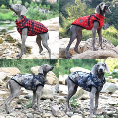 Dog Jacket With Harness