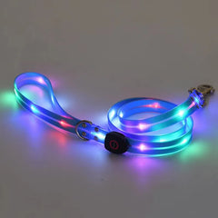 USB Rechargeable LED Dog Leash or Dog Collar