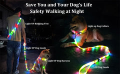 USB Rechargeable LED Dog Leash or Dog Collar