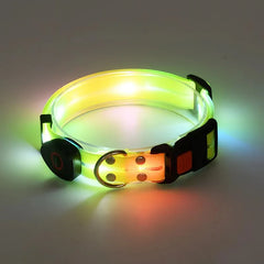 USB Rechargeable LED Dog Leash or Dog Collar