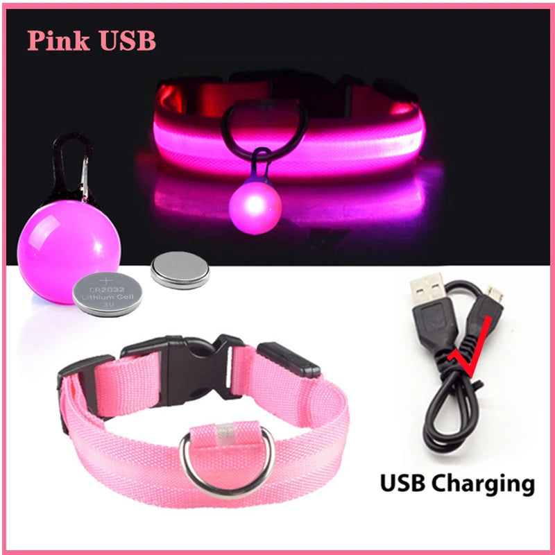 USB Rechargeable LED Pet Collar – Glowing Night Safety Collar with  Pendant for Dogs