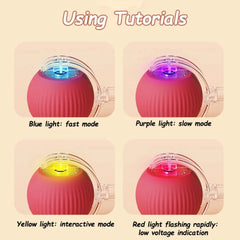 Smart Rolling Cat Toy – Rechargeable Interactive Ball with Faux Tail | Imitates Mouse Movement for Cats & Dogs
