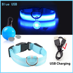 USB Rechargeable LED Pet Collar – Glowing Night Safety Collar with  Pendant for Dogs