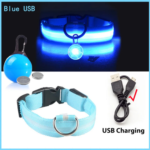 USB Rechargeable LED Pet Collar – Glowing Night Safety Collar with  Pendant for Dogs