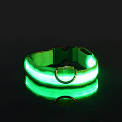 LED Nylon Dog Collar